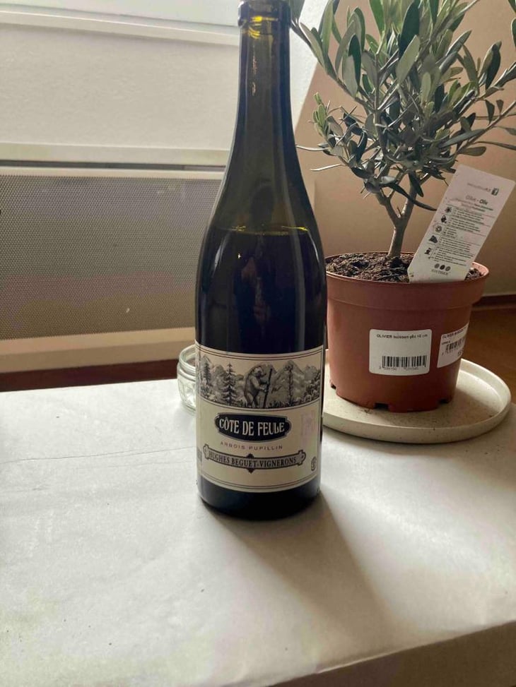 Côte De Feule - Domaine Hughes-Beguet - Caroline & Patrice Hughes Béguet 