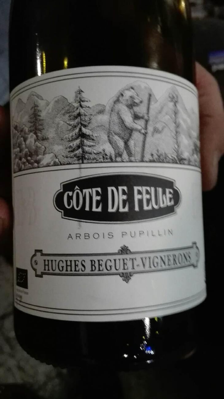 Côte De Feule - Domaine Hughes-Beguet - Caroline & Patrice Hughes Béguet 