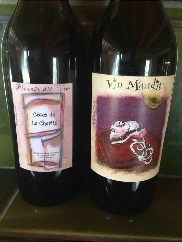 Côte de la Charité & Vin Maudit - Domaine du Bourg d’Oiseau - Frédéric Benzergua 