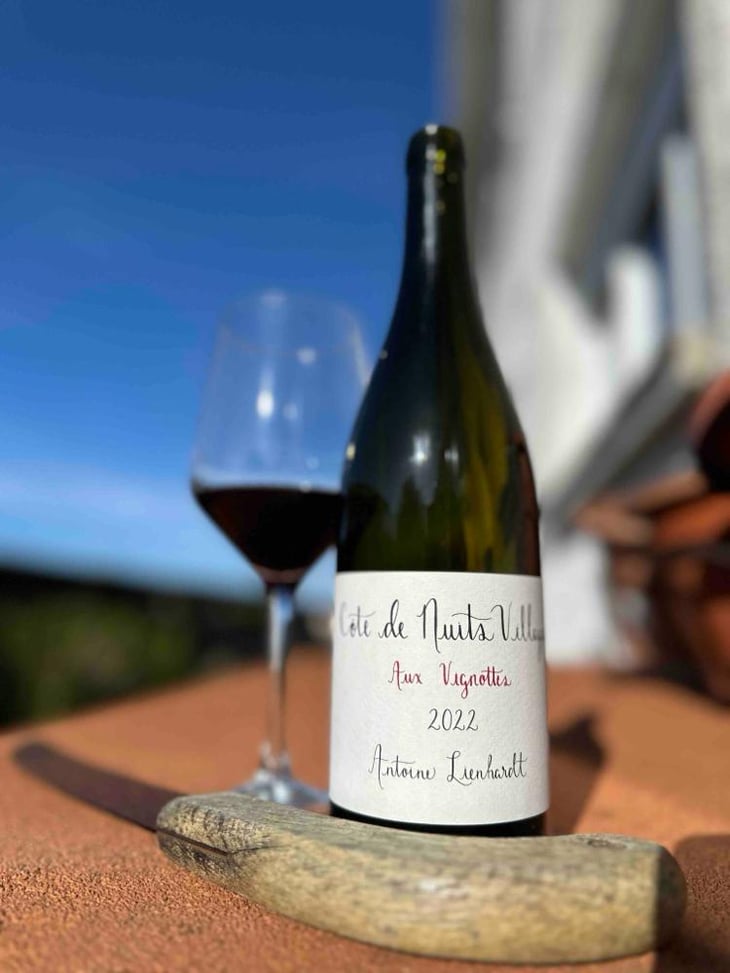 Côte de Nuits-Villages " Aux Vignottes" (Label from 2020) - Antoine Lienhardt - Antoine Lienhardt 