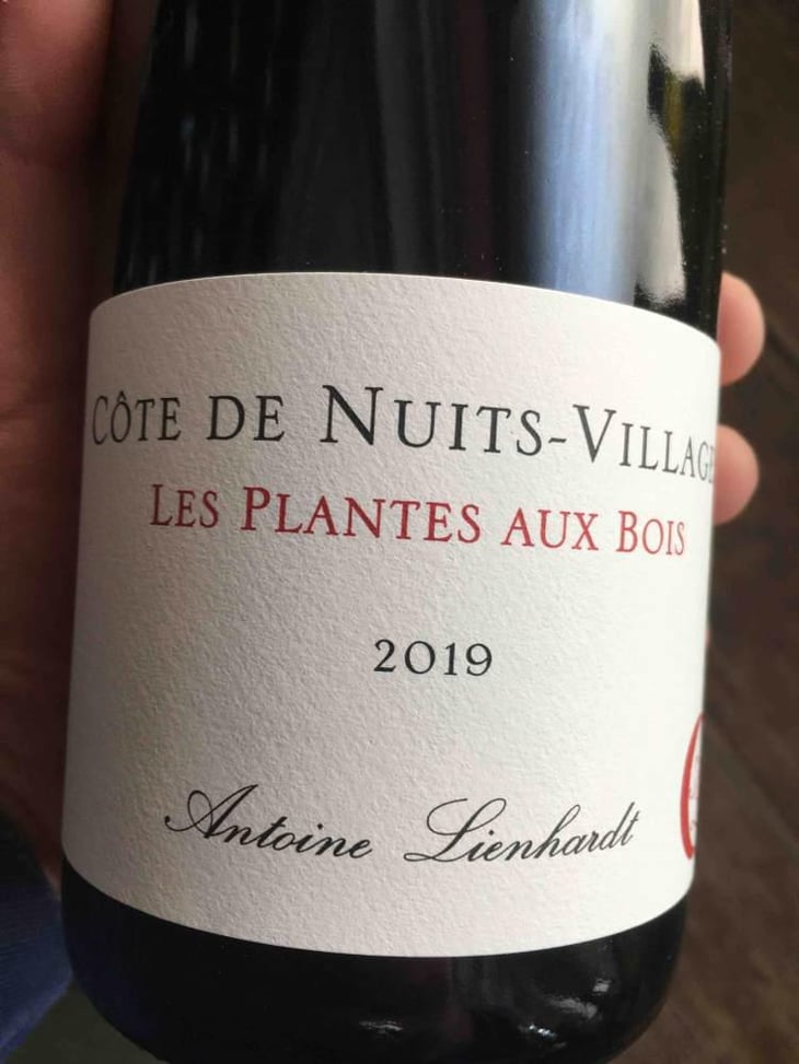 Côte de Nuits-Villages "Les Plantes aux Bois" - Antoine Lienhardt - Antoine Lienhardt 