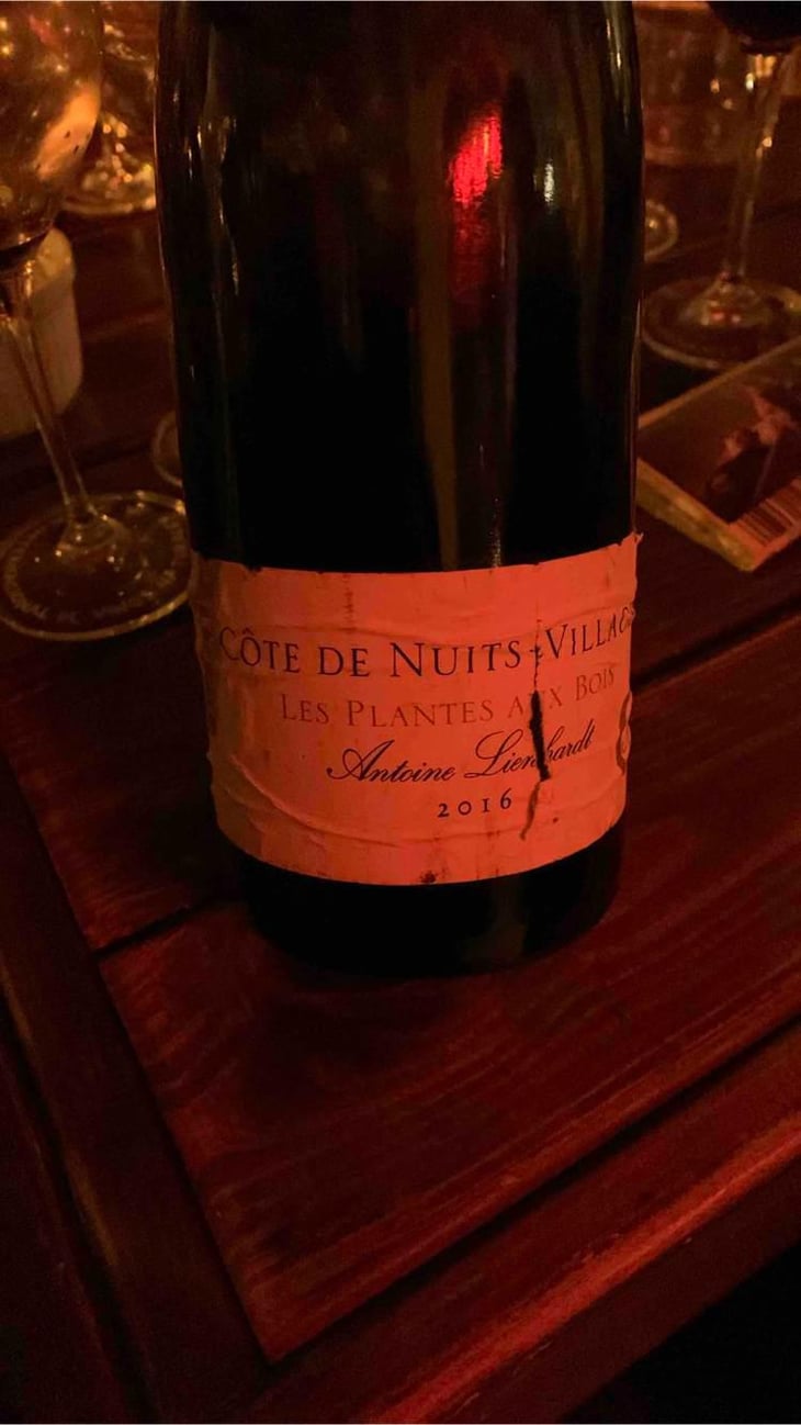 Côte de Nuits-Villages "Les Plantes aux Bois" - Antoine Lienhardt - Antoine Lienhardt 