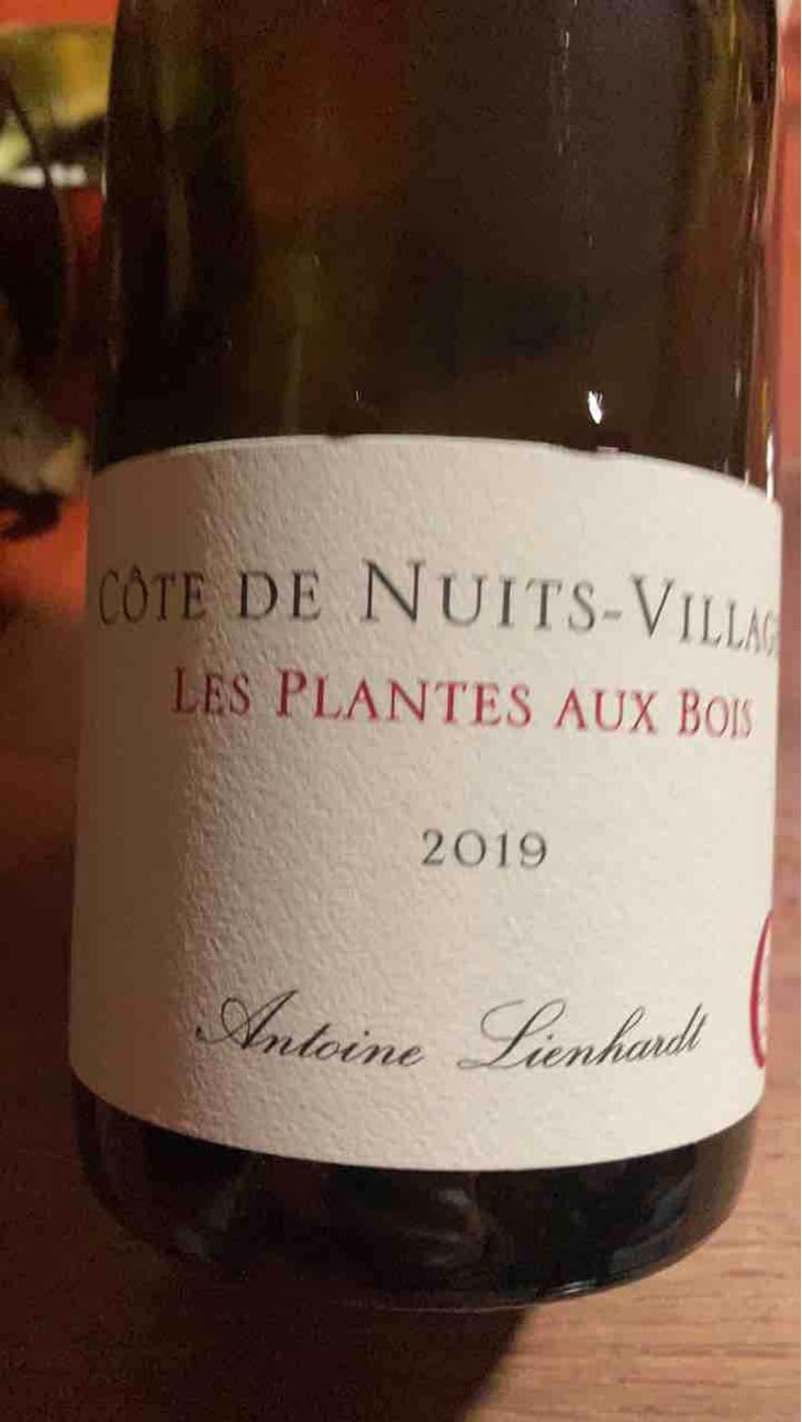 Côte de Nuits-Villages "Les Plantes aux Bois" - Antoine Lienhardt - Antoine Lienhardt 