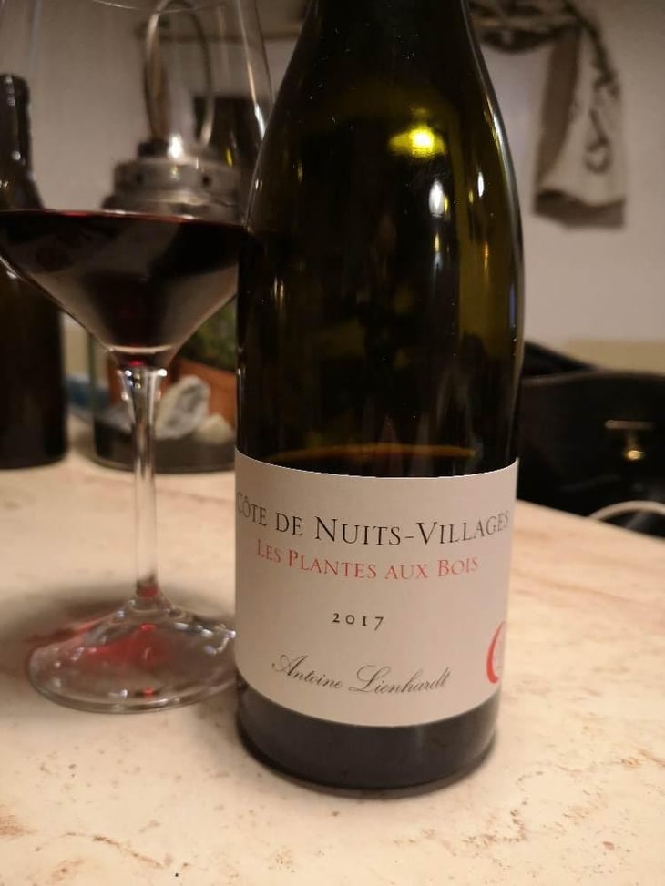 Côte de Nuits-Villages "Les Plantes aux Bois" - Antoine Lienhardt - Antoine Lienhardt 