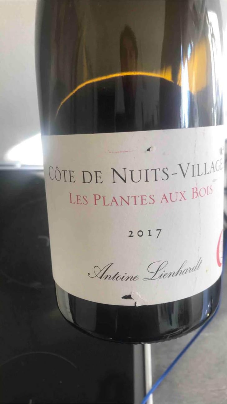 Côte de Nuits-Villages "Les Plantes aux Bois" - Antoine Lienhardt - Antoine Lienhardt 
