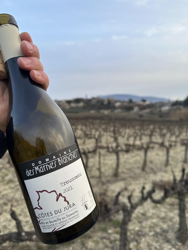 Trousseau - Domaine Des Marnes Blanches - Pauline & Géraud Fromont 