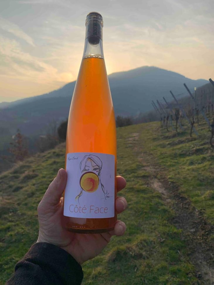 Côté Face - Domaine Bard (CLOSED) - Régis Bard (CLOSED) 