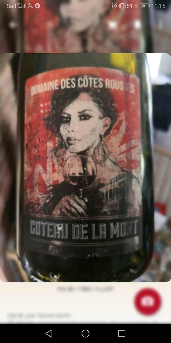 Coteau De La Mort - Domaine des Côtes Rousses - Marielle & Nicolas Ferrand 