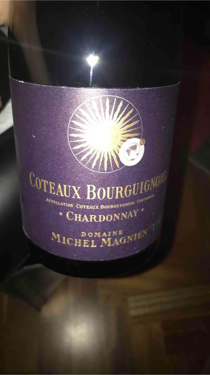 Coteaux Bourguignons - Domaine Michel Magnien - Frédéric Magnien 