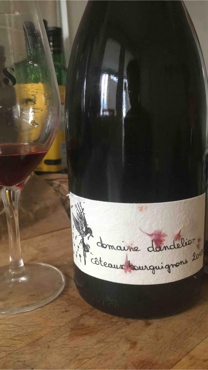 Coteaux Bourguignons - Domaine Dandelion - Morgane Seuillot & Christian Knott 