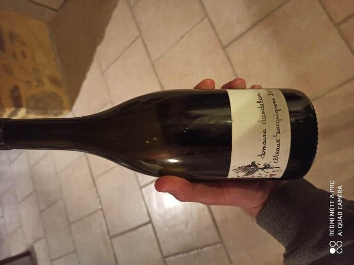 Coteaux Bourguignons - Domaine Dandelion - Morgane Seuillot & Christian Knott 