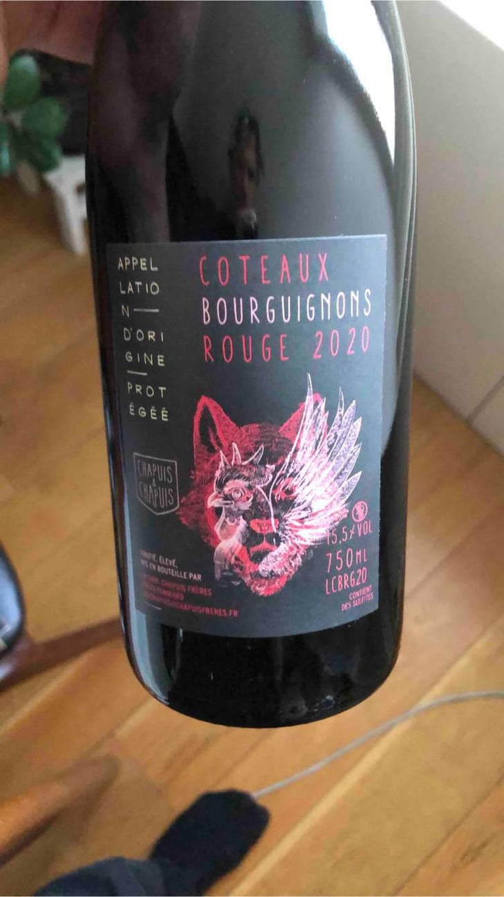 Côteaux Bourguignons - Chapuis & Chapuis - Romain & Jean-Guillaume Chapuis 