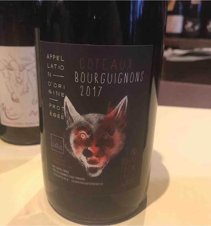 Côteaux Bourguignons - Chapuis & Chapuis - Romain & Jean-Guillaume Chapuis 