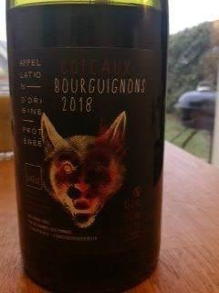 Côteaux Bourguignons - Chapuis & Chapuis - Romain & Jean-Guillaume Chapuis 