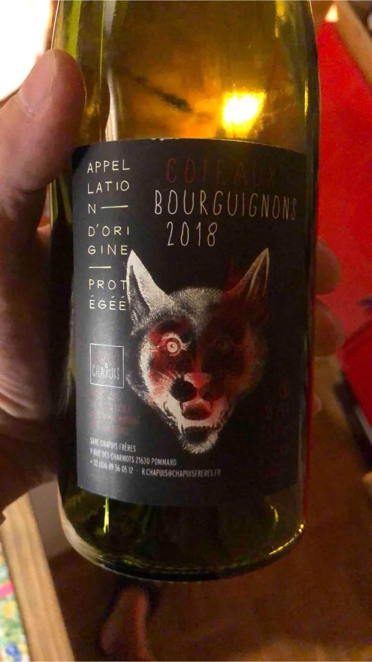 Côteaux Bourguignons - Chapuis & Chapuis - Romain & Jean-Guillaume Chapuis 
