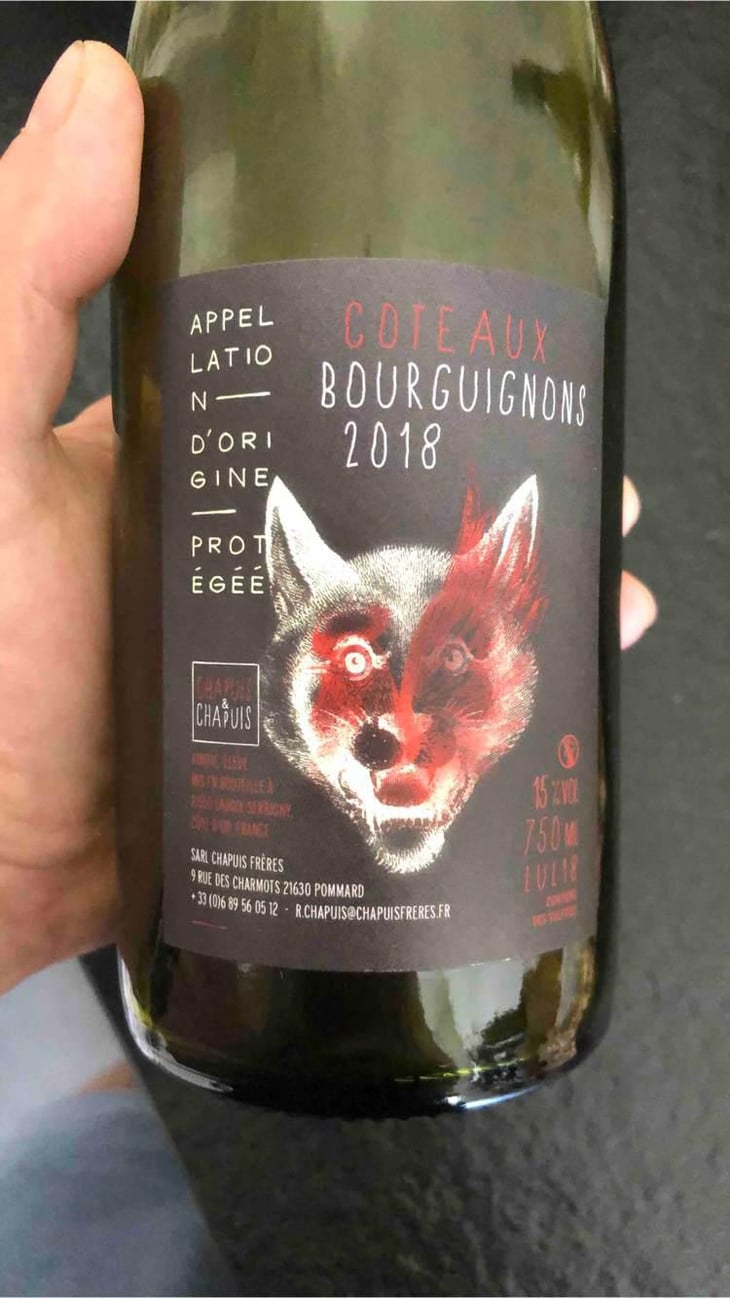 Côteaux Bourguignons - Chapuis & Chapuis - Romain & Jean-Guillaume Chapuis 