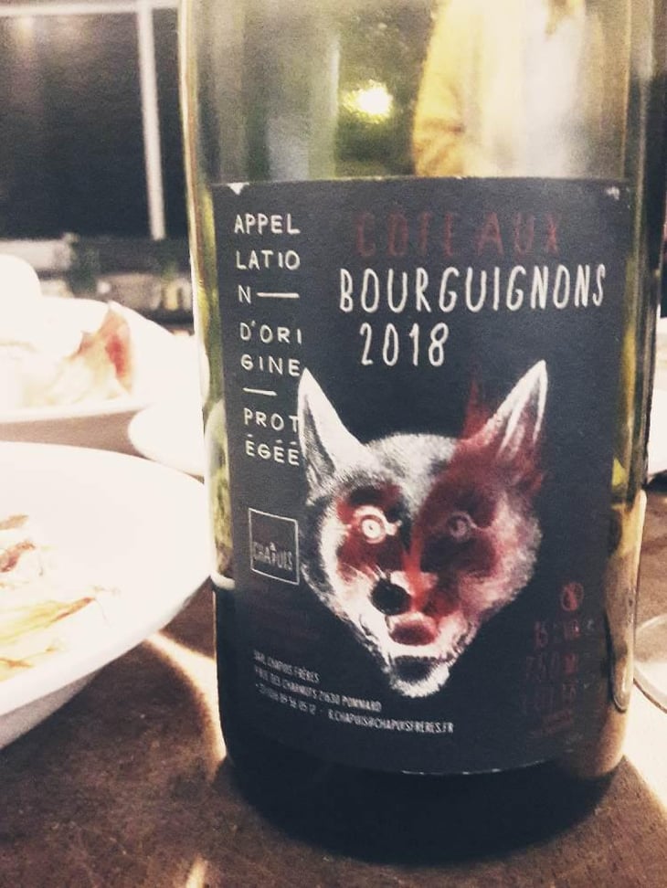 Côteaux Bourguignons - Chapuis & Chapuis - Romain & Jean-Guillaume Chapuis 