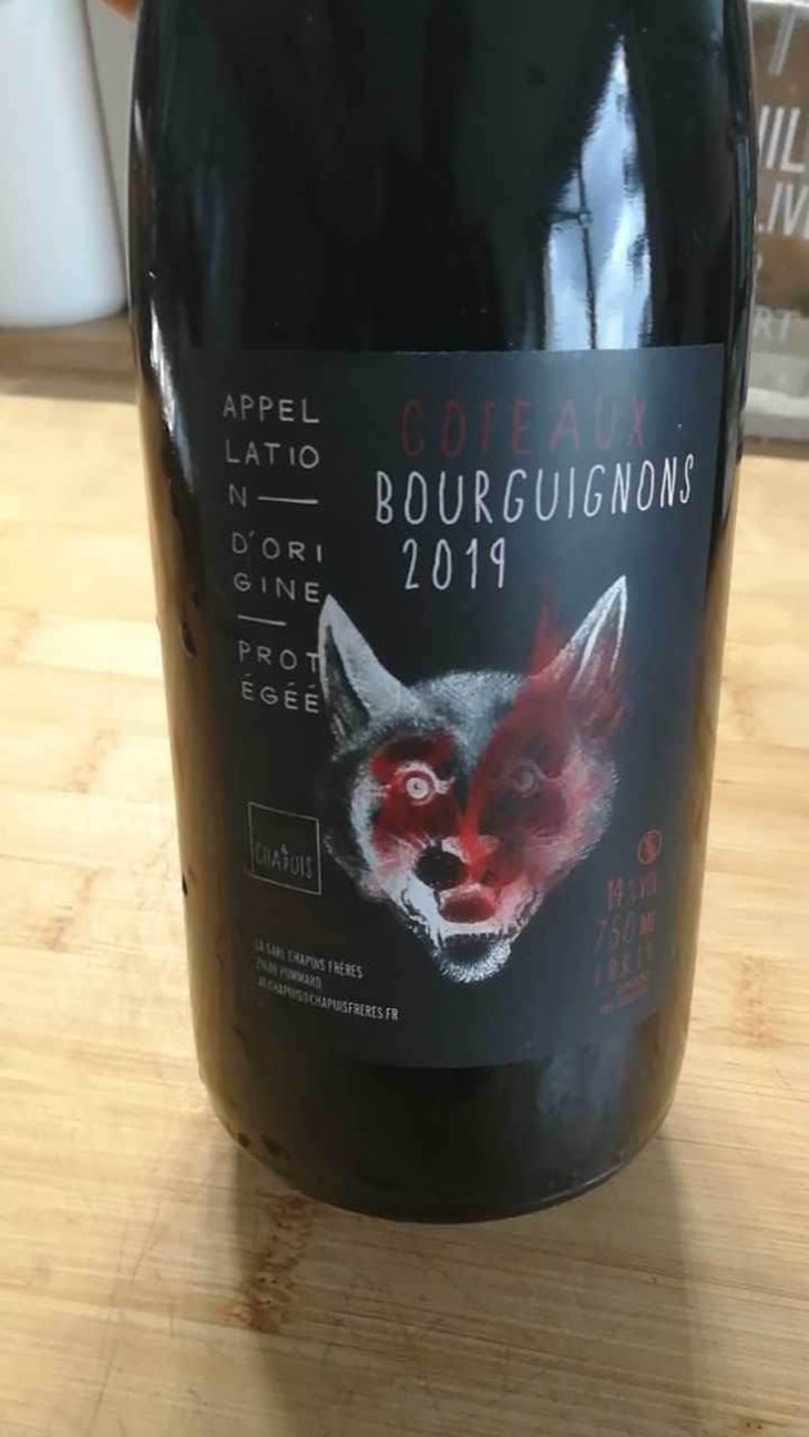 Côteaux Bourguignons - Chapuis & Chapuis - Romain & Jean-Guillaume Chapuis 