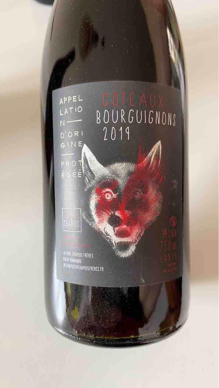 Côteaux Bourguignons - Chapuis & Chapuis - Romain & Jean-Guillaume Chapuis 