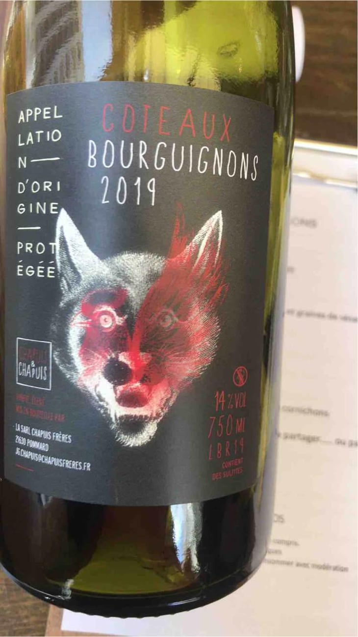 Côteaux Bourguignons - Chapuis & Chapuis - Romain & Jean-Guillaume Chapuis 