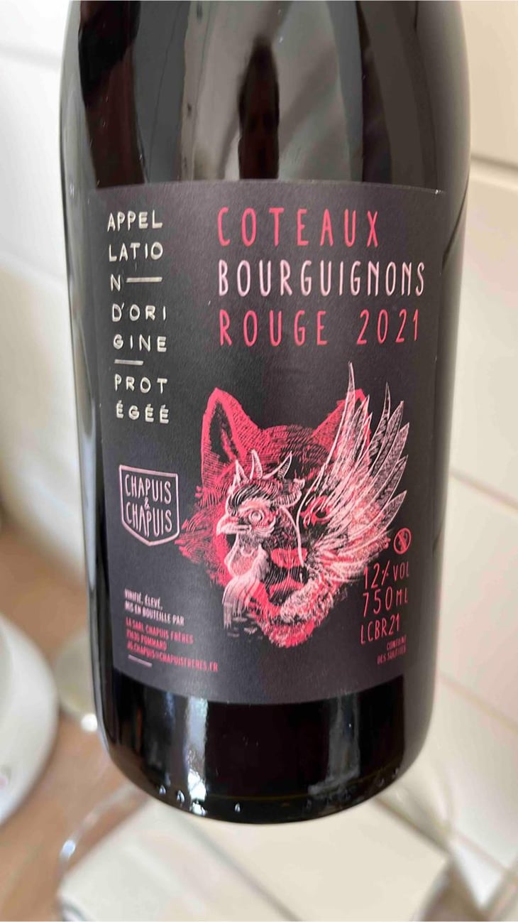 Côteaux Bourguignons - Chapuis & Chapuis - Romain & Jean-Guillaume Chapuis 