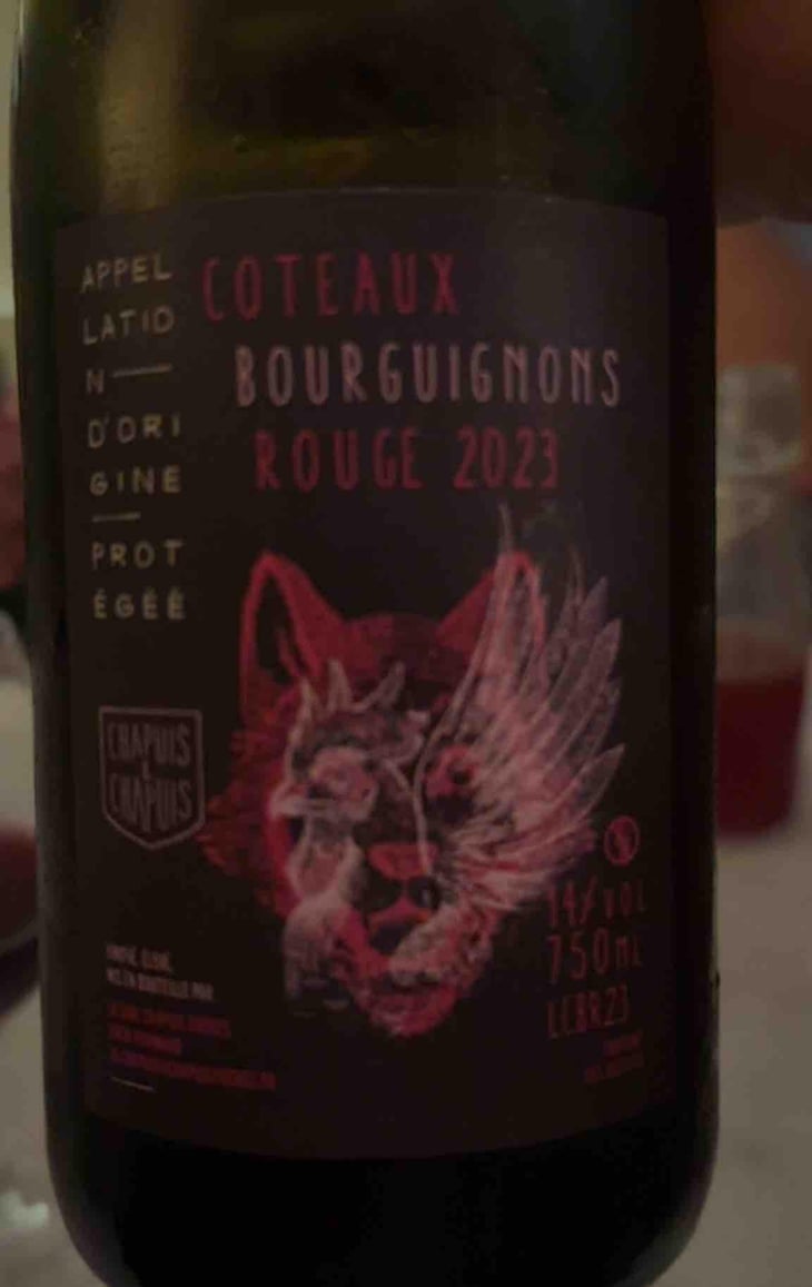 Côteaux Bourguignons - Chapuis & Chapuis - Romain & Jean-Guillaume Chapuis 