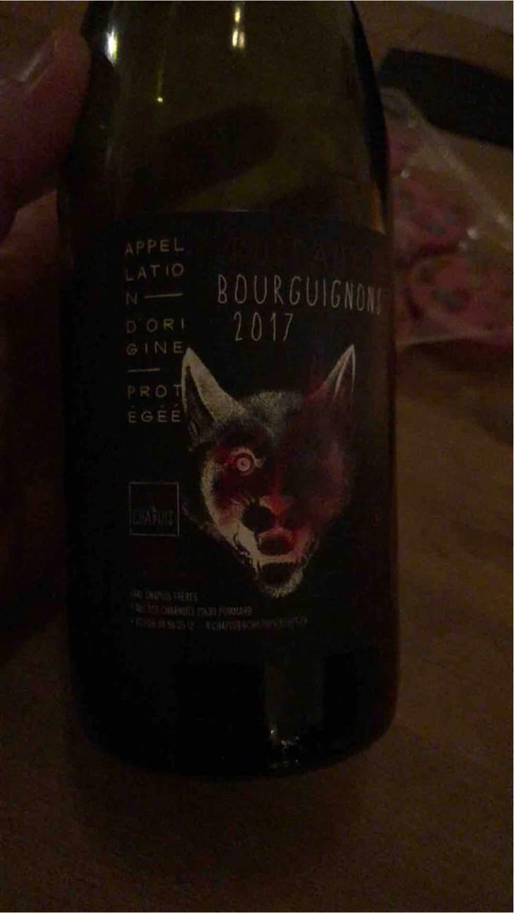 Côteaux Bourguignons - Chapuis & Chapuis - Romain & Jean-Guillaume Chapuis 