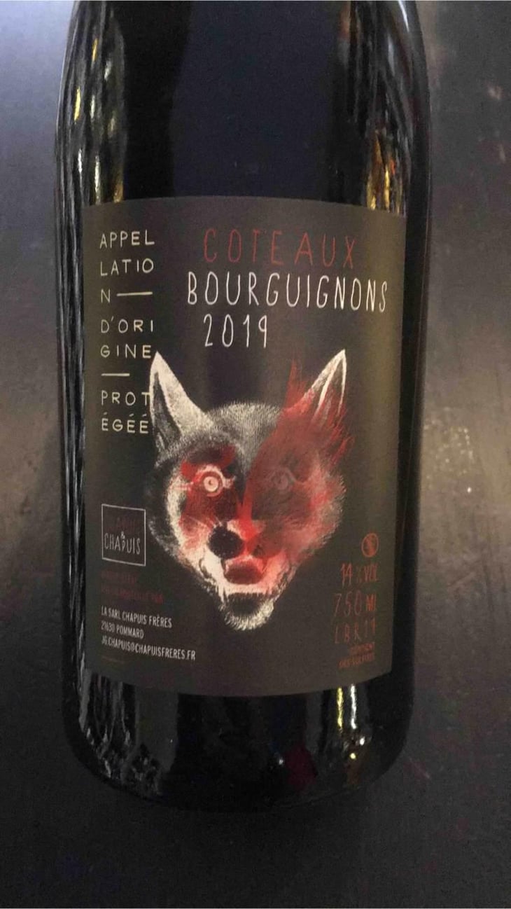 Côteaux Bourguignons - Chapuis & Chapuis - Romain & Jean-Guillaume Chapuis 