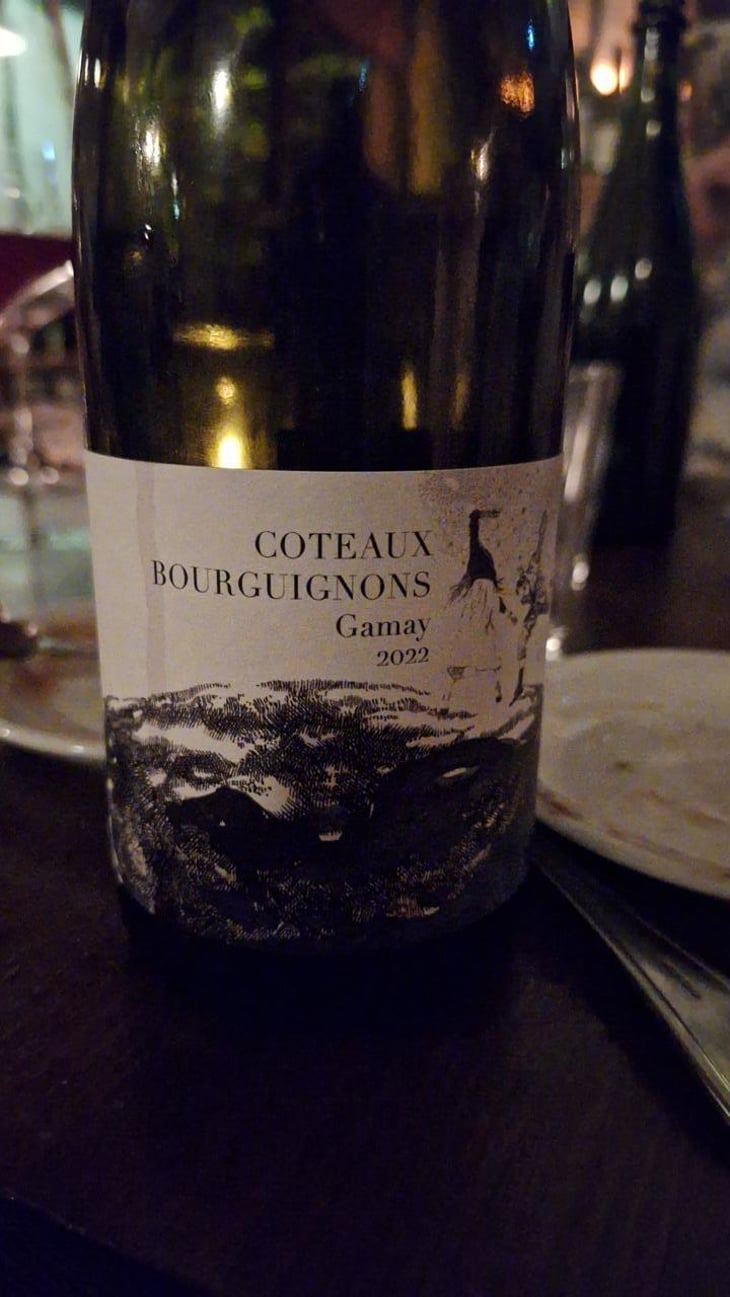 Coteaux Bourguignons Gamay - Domaine Didon - Naima & David Didon 