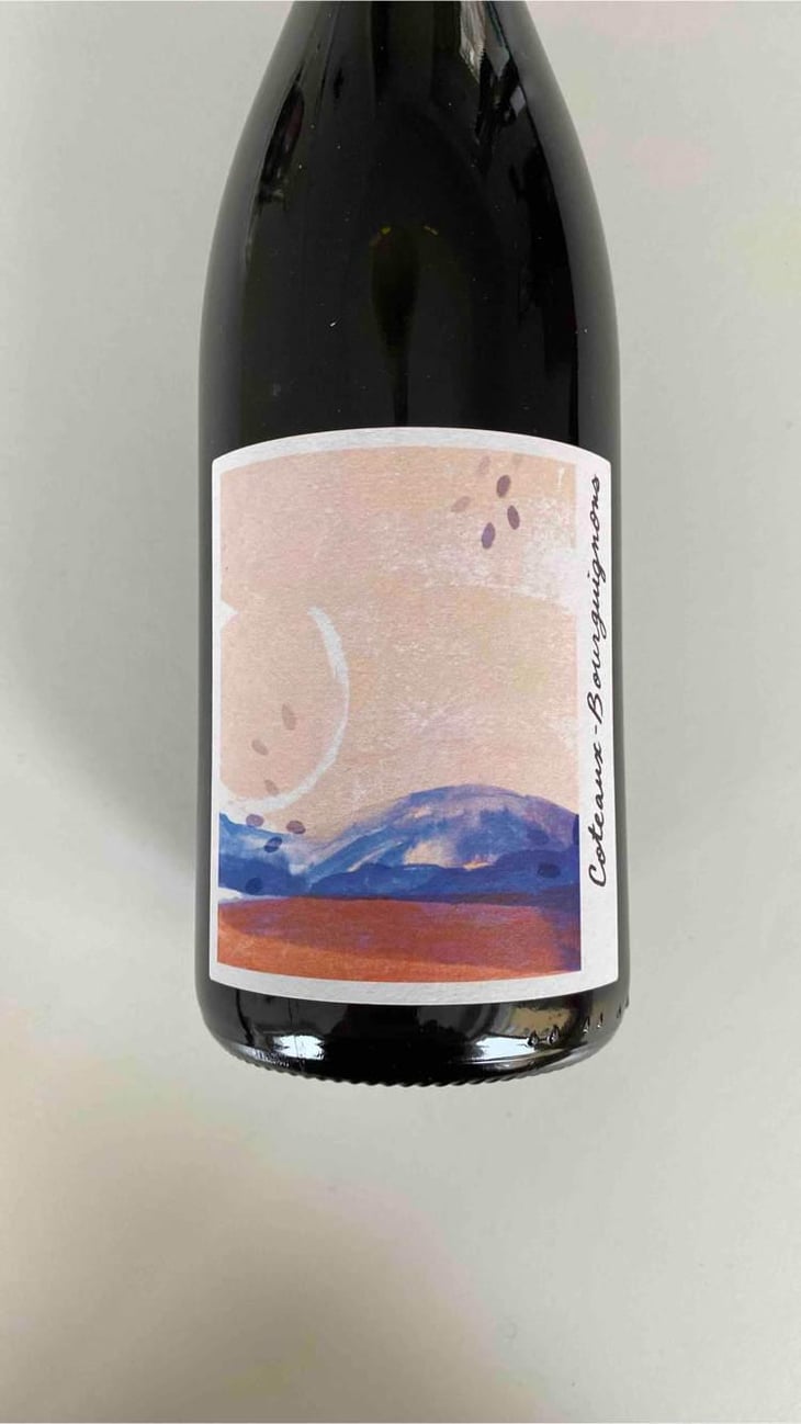 Coteaux-Bourguignons - La Chaume des Lies - Margaux Rivaux & Lothar Galloo 