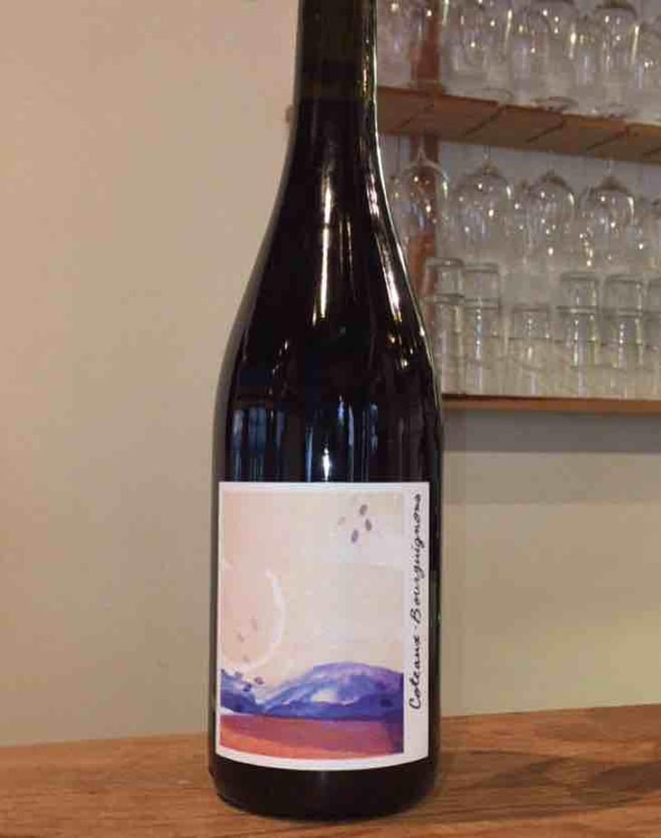 Coteaux-Bourguignons - La Chaume des Lies - Margaux Rivaux & Lothar Galloo 