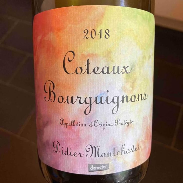 Coteaux Bourguignons - Domaine Montchovet - Didier Montchovet 