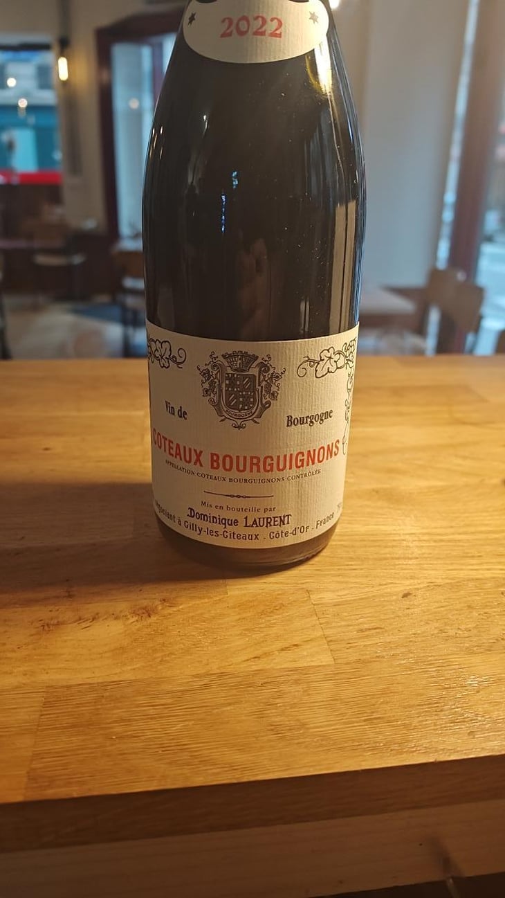 Coteaux bourguignons - Dominique Laurent - Dominique Laurent -2022