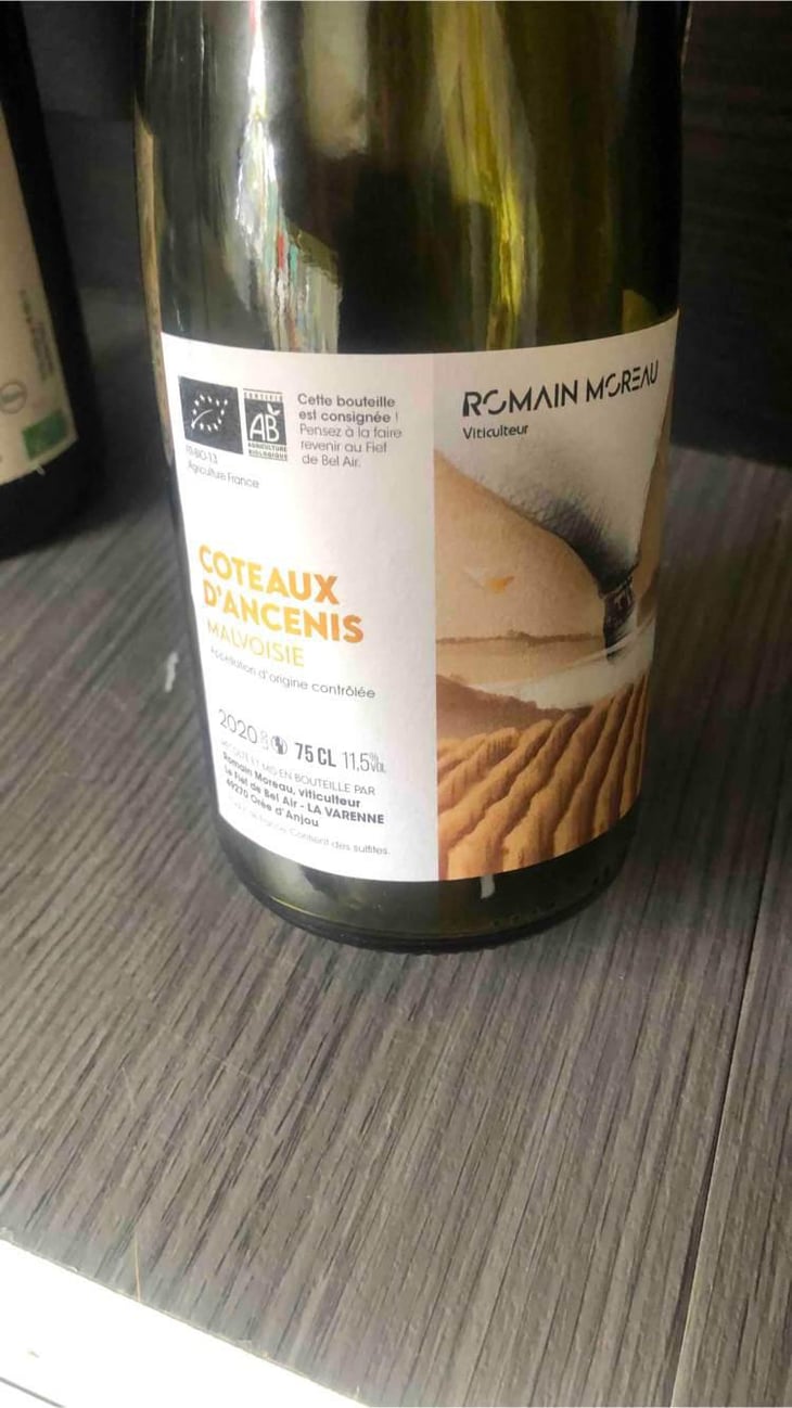 Coteaux D’ancenis - Le Fief De Bel air - Romain Moreau 