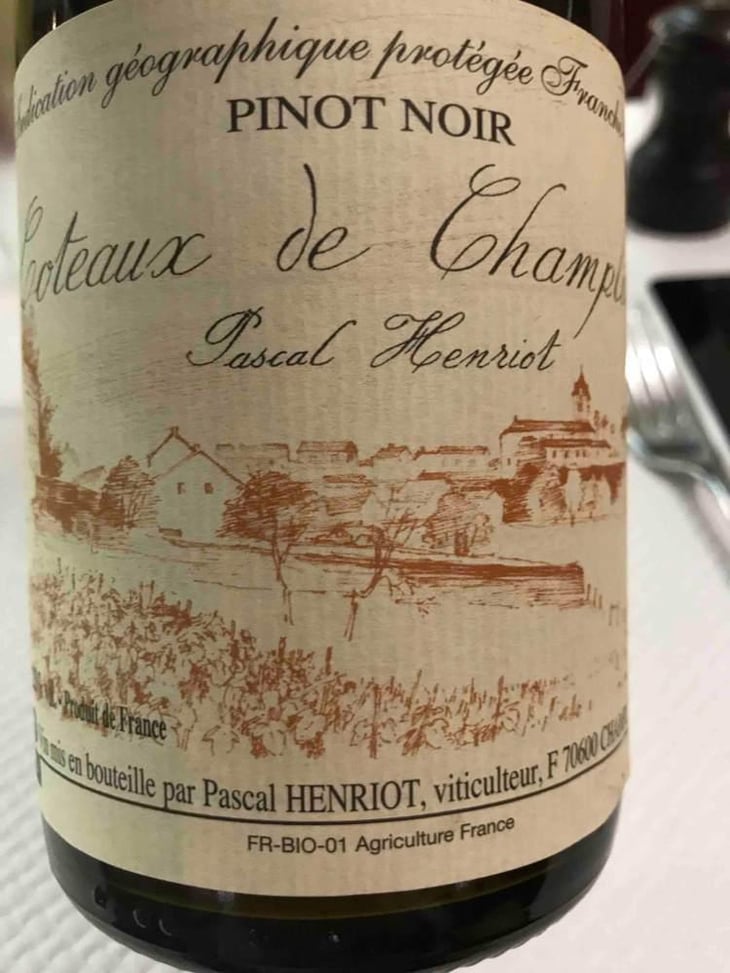Pinot Noir - Pascal Henriot - Pascal Henriot 