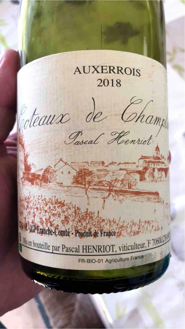 Pinot Noir - Pascal Henriot - Pascal Henriot 