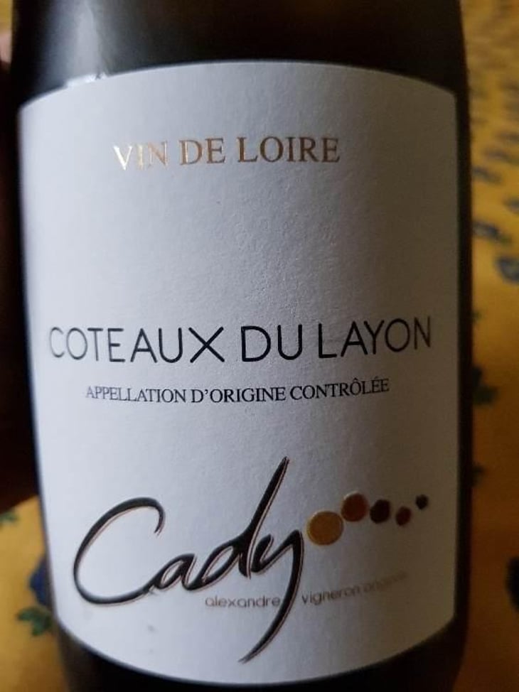 Coteaux du Layon - Alexandre Cady - Alexandre Cady 
