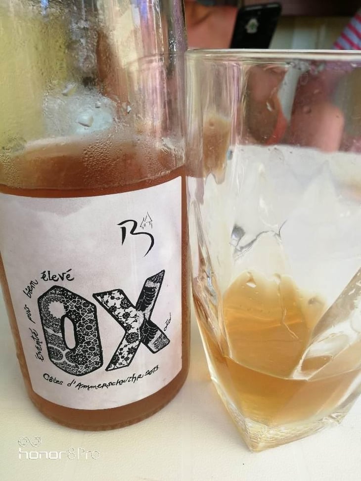 Côtes d'Ammerschwihr OX - Domaine Christian Binner - Christian Binner et son équipe 