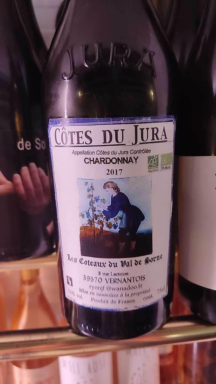 SAVAGNIN 2020 - Les Coteaux du Val de Sorne - Jean-Francois Ryon 