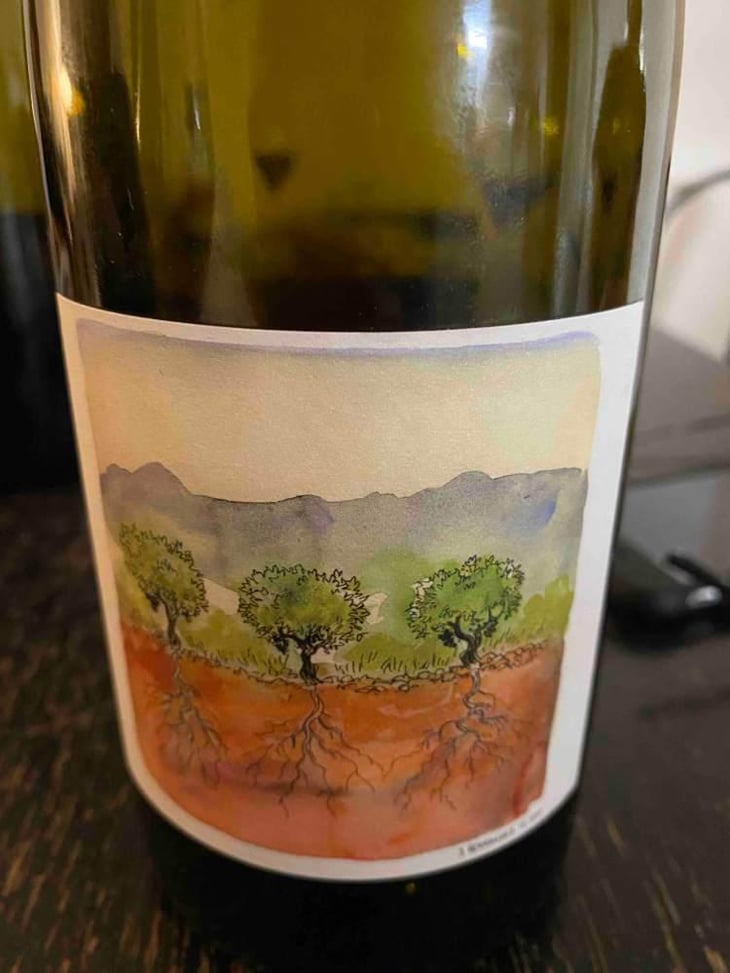 Côtes du Rhône Nouveau - Domaine Marcel Richaud - Marcel Richaud 