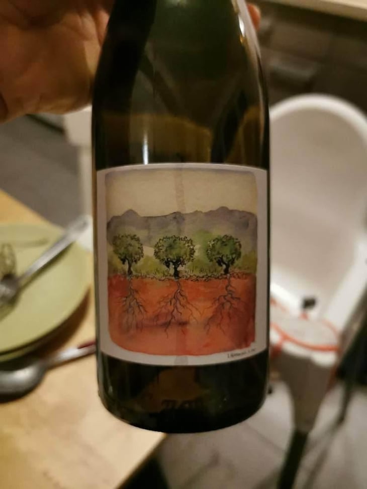 Côtes du Rhône Nouveau - Domaine Marcel Richaud - Marcel Richaud 