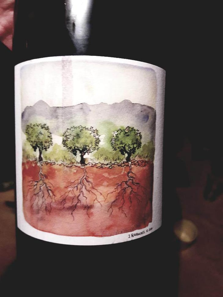 Côtes du Rhône Nouveau - Domaine Marcel Richaud - Marcel Richaud 