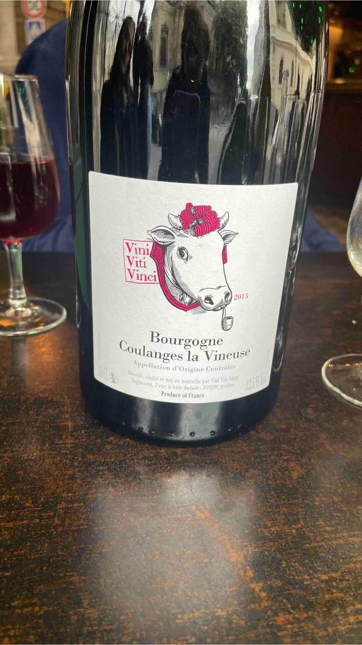 Bourgogne Coulanges La Vineuse - Vini Viti Vinci - Nicolas Vauthier "Kikro" 