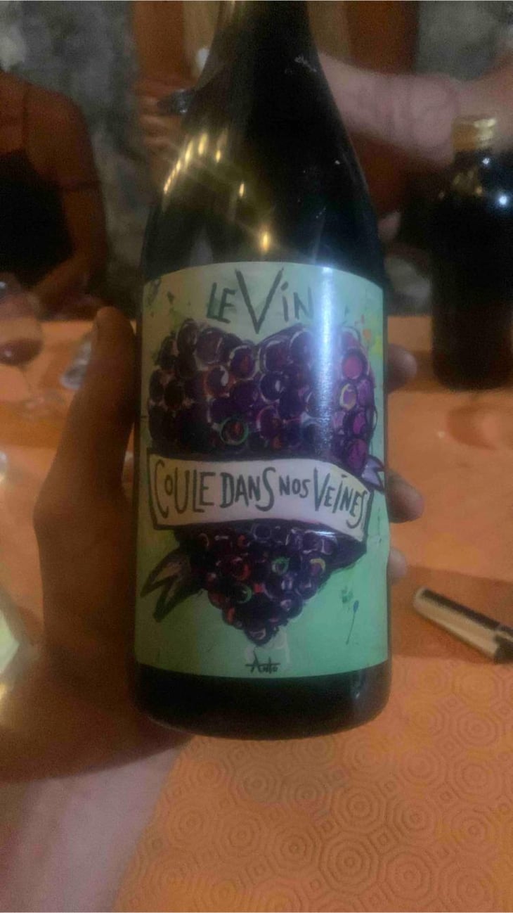 Le Vin Coule Dans Nos Veines - Domaine Giacometti - Sarah & Simon Giacometti 