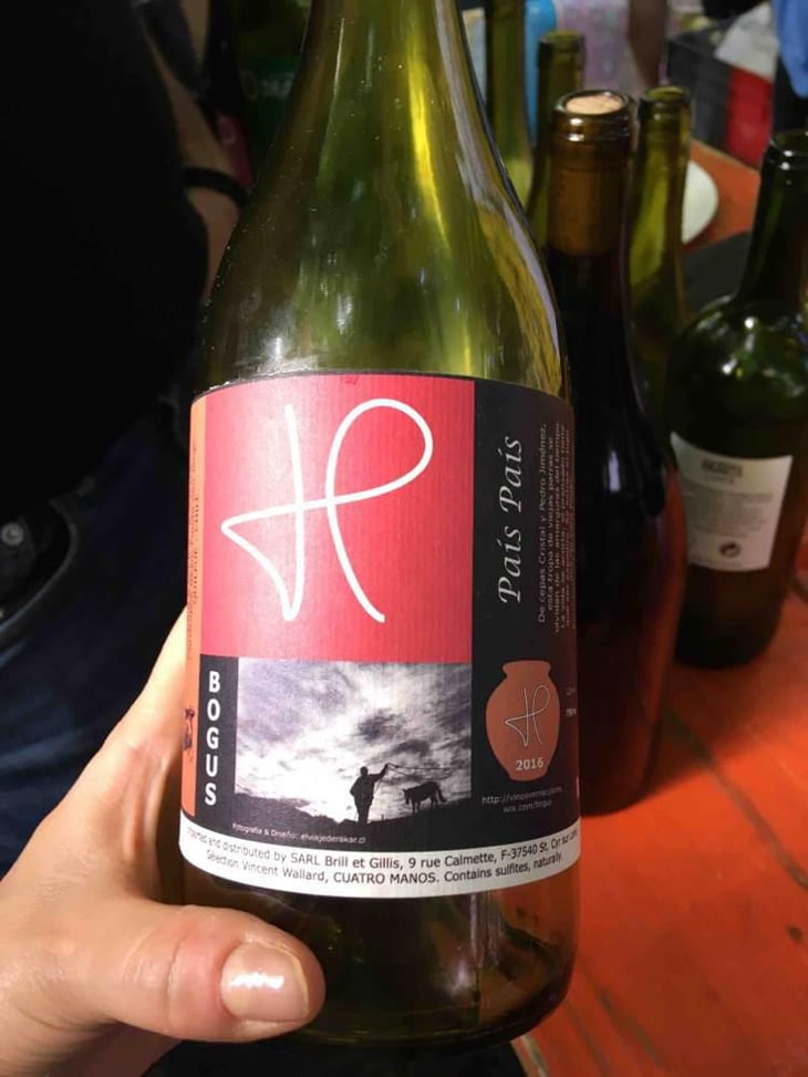 País País - Domaine Beauthorey - Christophe Beau 