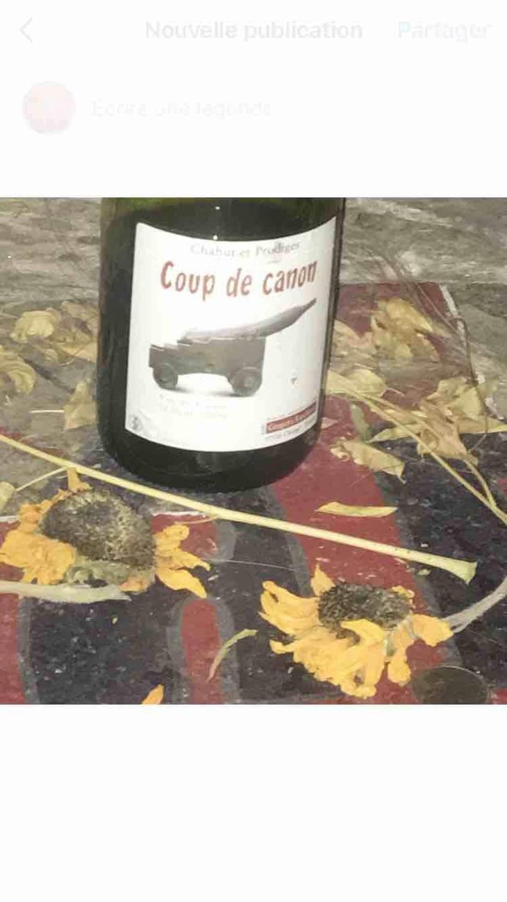 Coup de Canon - Chahut et Prodiges - Gregory Leclerc 
