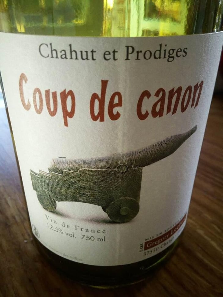 Coup de Canon - Chahut et Prodiges - Gregory Leclerc 