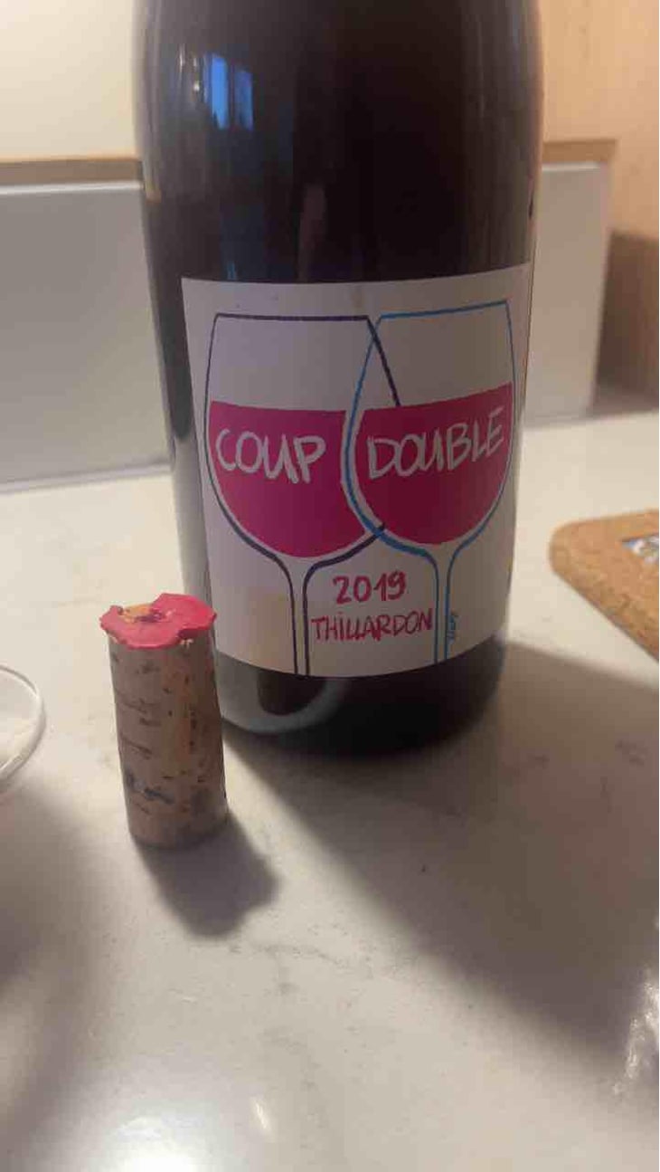 Coup Double - Domaine Thillardon - Aude, Jean-Baptiste, Charles et Paul-Henri Thillardon -2019