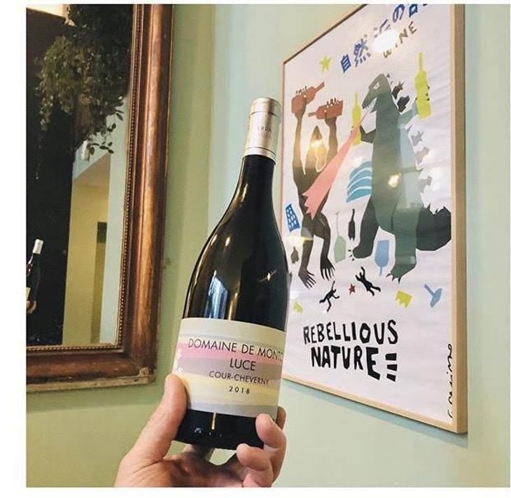 Cour-Cheverny - Domaine de Montcy - Vincent Hayer 