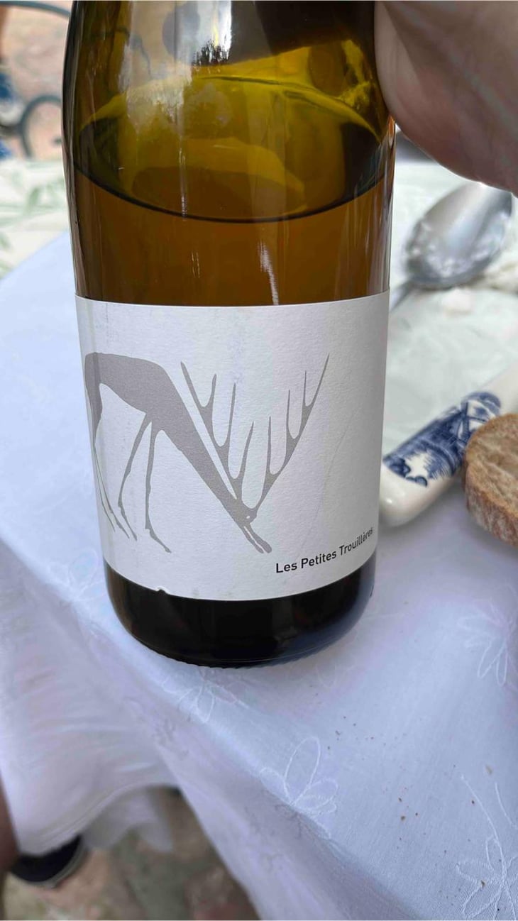 Courant Alternatif - Domaine Des Trouillères - Camille & Mikael Hyvert 